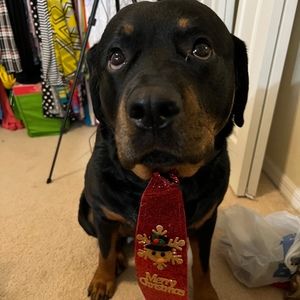 Meet your Posher, Vernetta